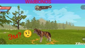 WildCraft Мини фильм про огненного волка