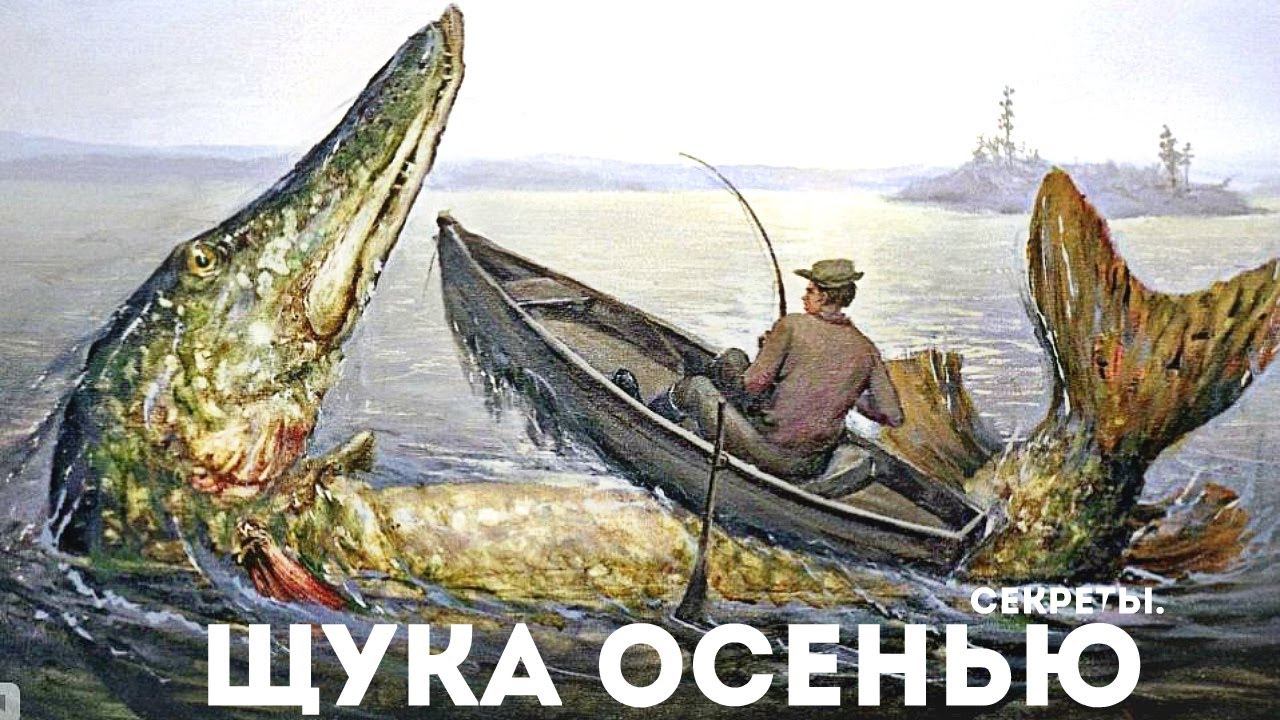 Секреты ловли щуки осенью!!! Ловля щуки на спиннинг редкие советы бывалым и начинающим! смотреть онлайн