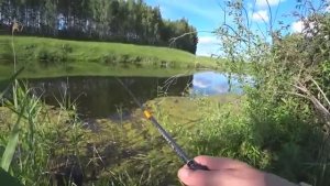 ЛОВЛЯ ЩУКИ В ЗАРОСШЕМ ПРУДИКЕ! Рыбалка на поппер и блесну.