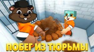 СМОЖЕМ ЛИ МЫ СБЕЖАТЬ ИЗ ТЮРЬМЫ В РОБЛОКС СДЕЛАВ ПОДКОП!?