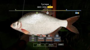 Русская рыбалка 4. Острог Новогодние задания. + Трофик