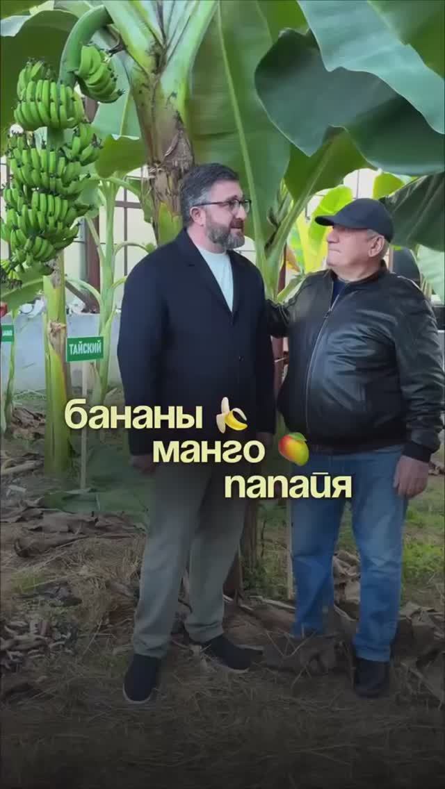 Абхазия умеет удивлять - видео из оранжереи-теплицы академии наук смотреть онлайн