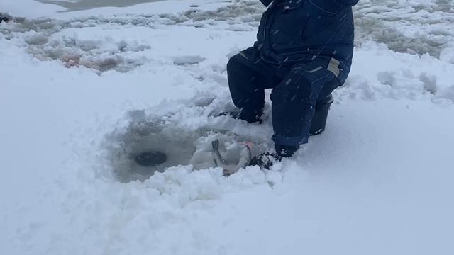 Вип зона. Актив. смотреть онлайн