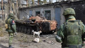 СВОДКА с УКРАИНЫ на 26.12.2025