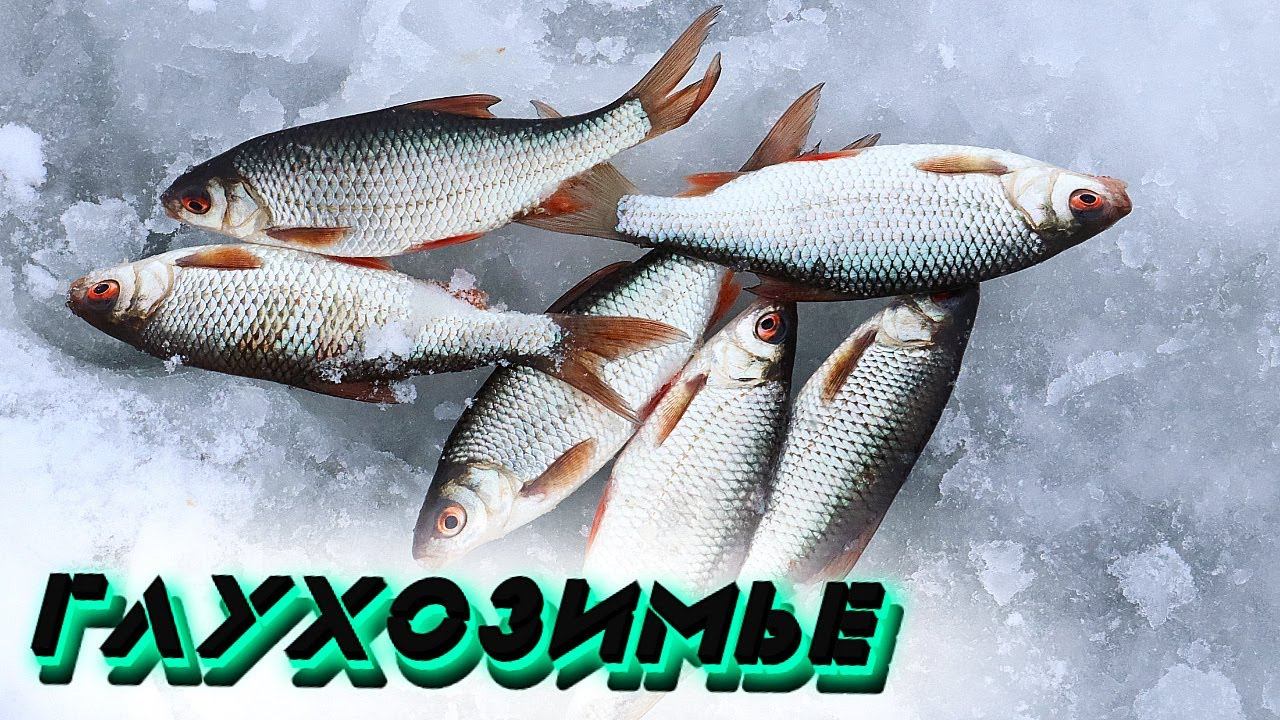 Дедушка ловил плотву в глухозимье ведрами! Вот его секрет! Как ловить плотву в январе феврале марте? смотреть онлайн