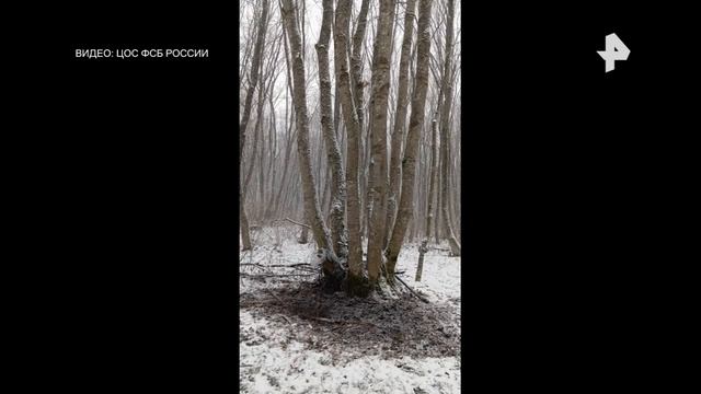 Сотрудники ФСБ задержали 18-летнюю студентку, пытавшуюся убить офицера смотреть онлайн