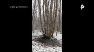 Сотрудники ФСБ задержали 18-летнюю студентку, пытавшуюся убить офицера