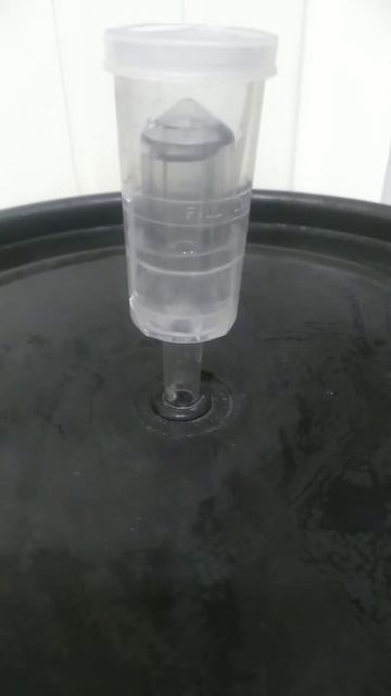 готовим сырье для новогодних настоек от #АлтайВинокур смотреть онлайн