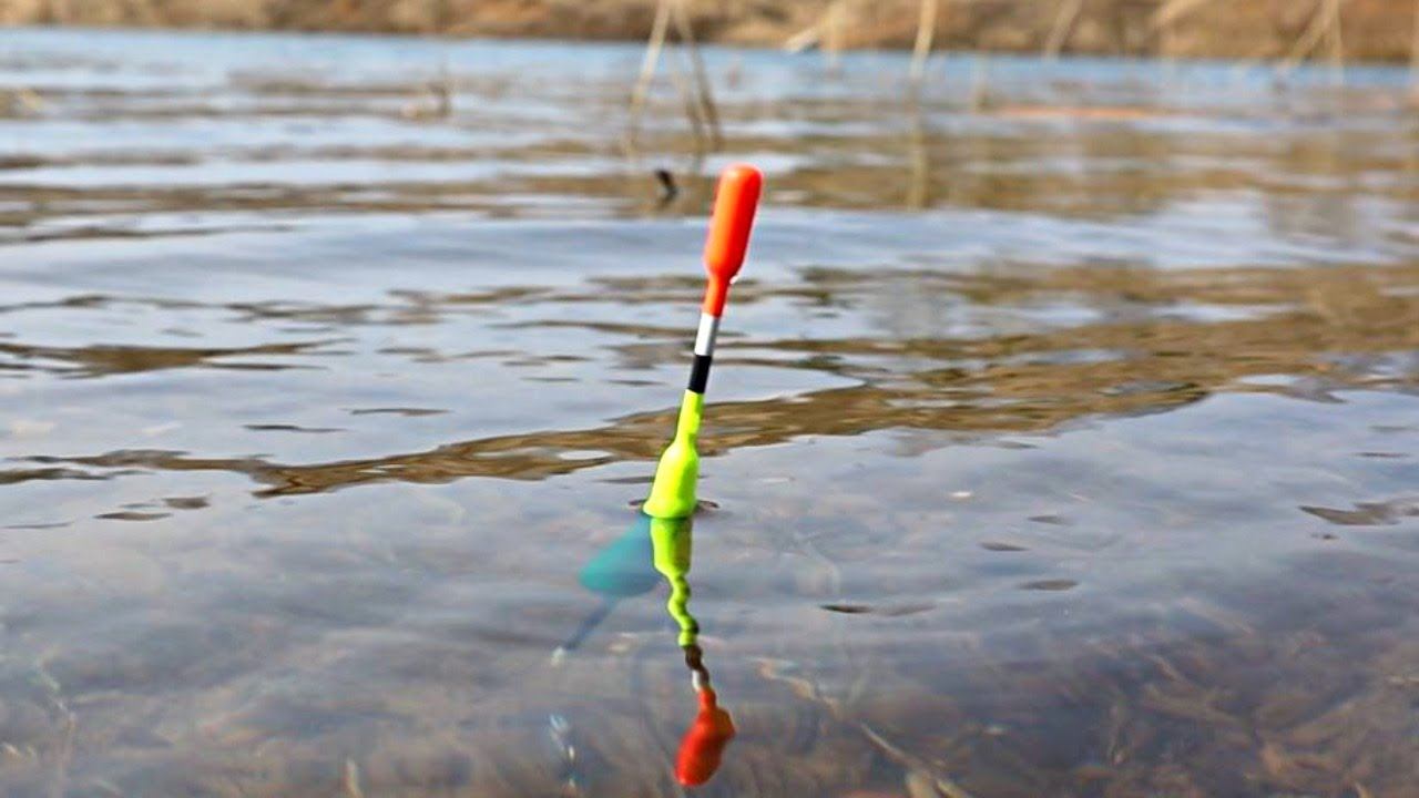 Как на что и где ловить карася в апреле? Новые секреты ловли карася весной в апреле. смотреть онлайн