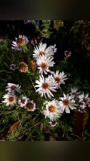 😎😎😎 смотреть онлайн