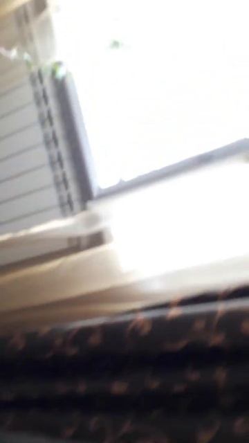 Хранение дистиллятов и Техника Безопасности!!! смотреть онлайн