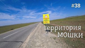 38. Неожиданно появилась МОШКА! кусает атакует! Рашаант