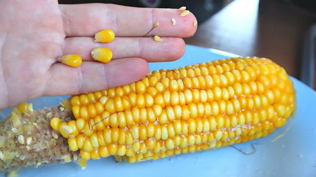 Самая недооцененная наживка на крупного карася и карпа осенью. Кукуруза вареная в специальной воде. смотреть онлайн