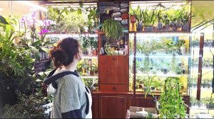 Холодный Осенний Дайджест, Цветочные Полки и ТЕРИБЕРСКИЙ Мох