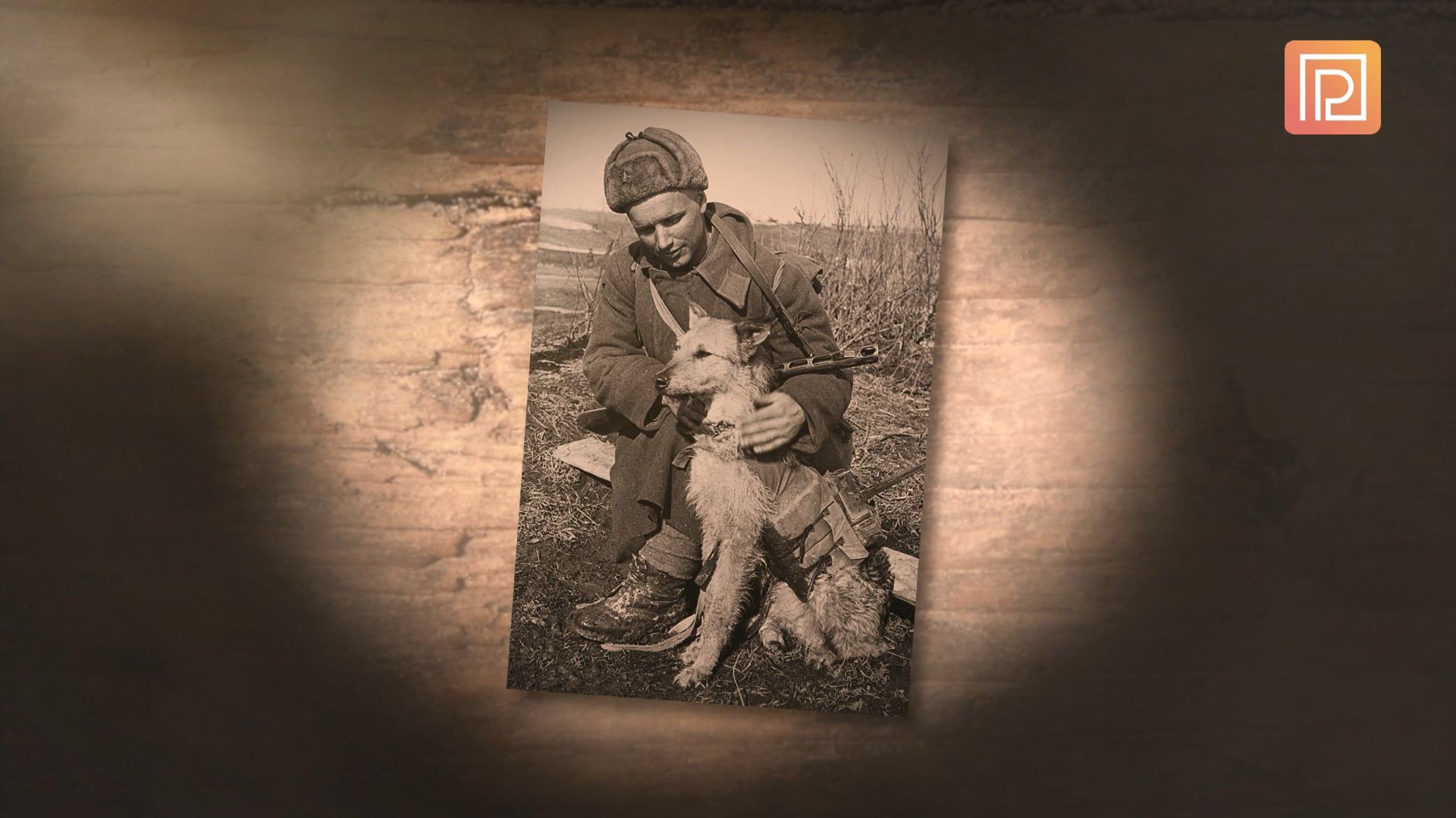 Документальный фильм: "СИТ. Собаки-истребители танков" смотреть онлайн