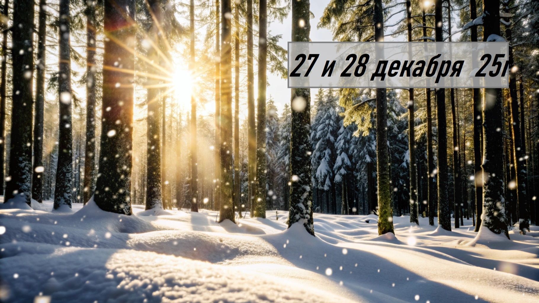 ГОРОСКОП  27 и 28 декабря 25г