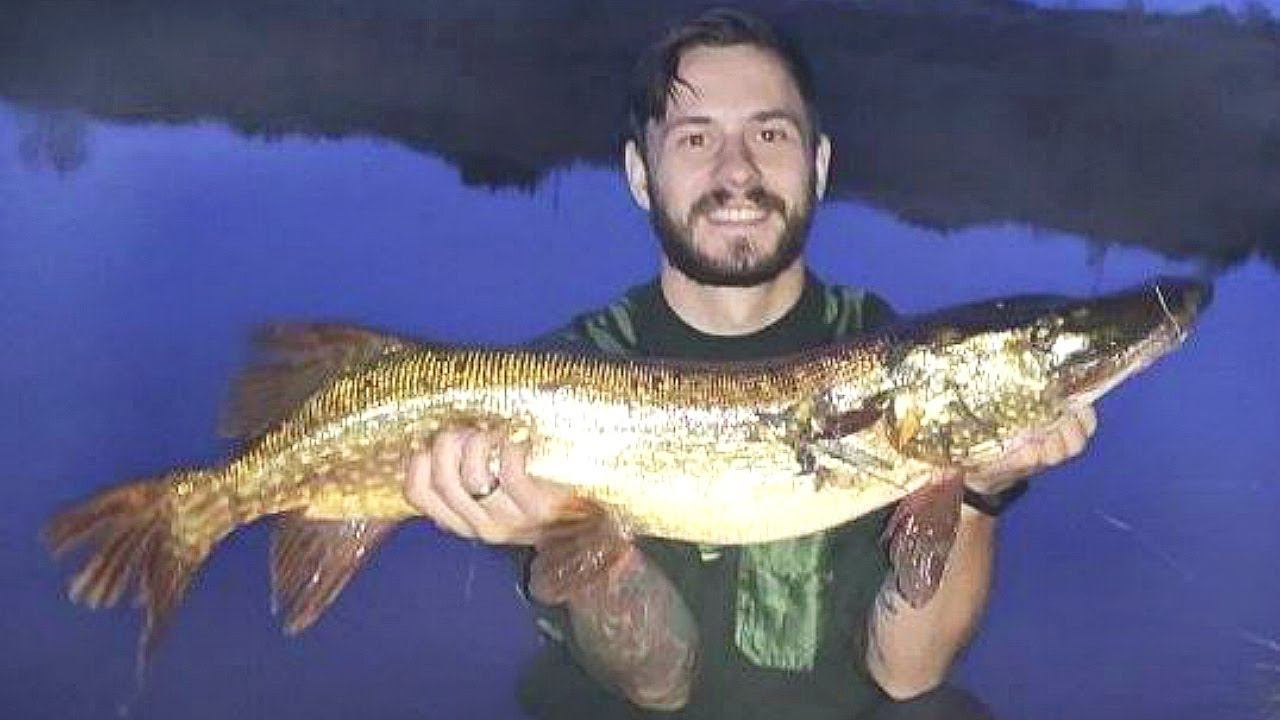 Ноябрь время когда щука звереет и шанс поймать крокодила увеличивается. Как ловить щуку в ноябре? смотреть онлайн