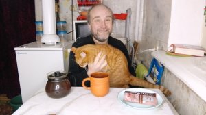 чаепитие с Рыжулей. хоть и не ем, но помолиться надо. содержательные беседы с котом.