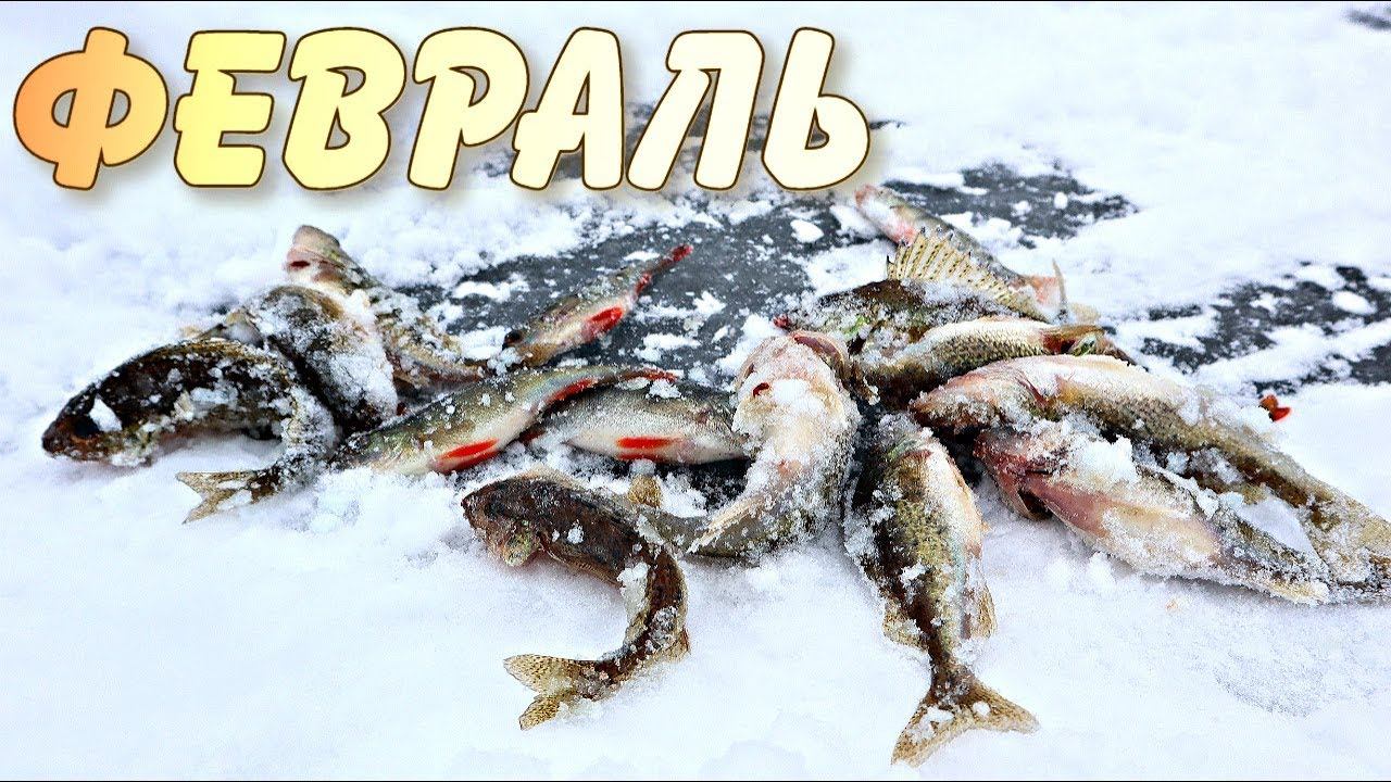 Какая рыба ловится в феврале? Как ловить рыбу в феврале? СекРеты рыбалки в феврале! смотреть онлайн