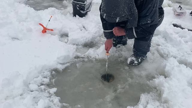 Поимка форели. Вип зона. смотреть онлайн