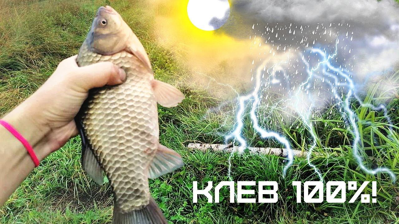 В какую погоду лучше всего клюет карась и карп? При какой погоде вы точно наловите много карася? смотреть онлайн