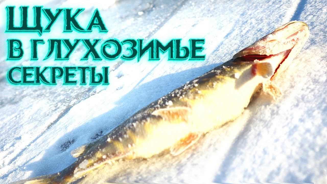Как ловить щуку в конце зимы-начале весны со льда? Как на что и где ловить щуку зимой в глухозимье? смотреть онлайн