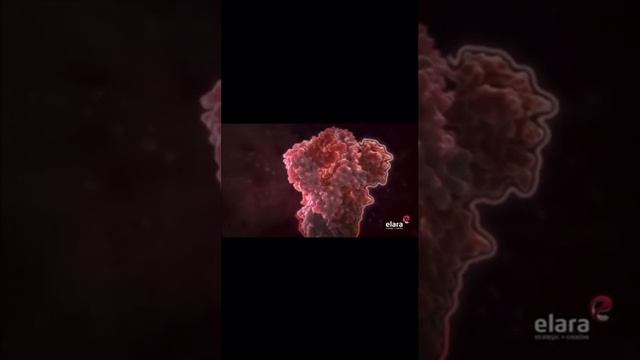 The horrible reality of mRNA injections смотреть онлайн