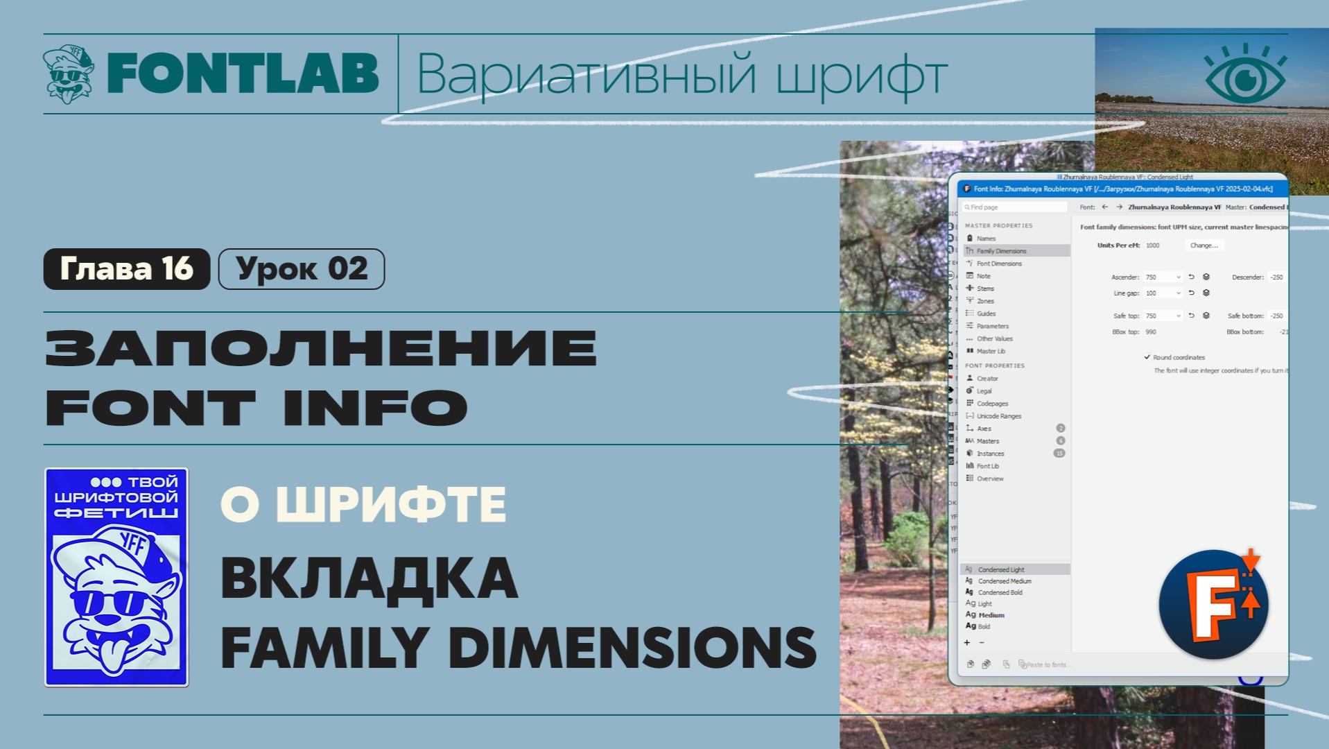 ДВШ 16-02 Заполнение Font info – Вкладка Family Dimensions – Урок Fontlab