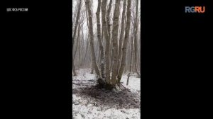 ФСБ показала задержание и допрос девушки со взрывчаткой в Ставрополе