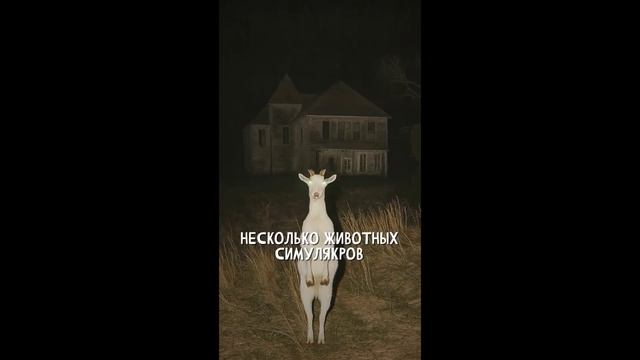 В ДОМЕ ПОЖИЛОЙ ПАРЫ. «Записи об аномалиях от К.О.Н.Т.У.Р. » №21 ЗАПИСЬ 053 смотреть онлайн