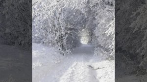 Премьера  Белый  снег ❄️ Игорь Кибирев