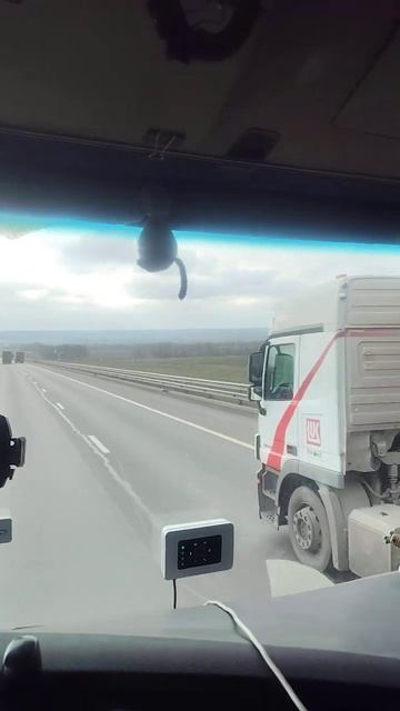 👏Горькая правда про отцов!👏 смотреть онлайн