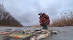 ВО ПОПАЛ! РЫБА БРОСАЕТСЯ. ПЕРВЫЙ ЛЁД В АСТРАХАНИ. Зимняя рыбалка со льда на окуня и красноперку.
