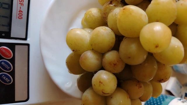 Столовый виноград Валёк. смотреть онлайн