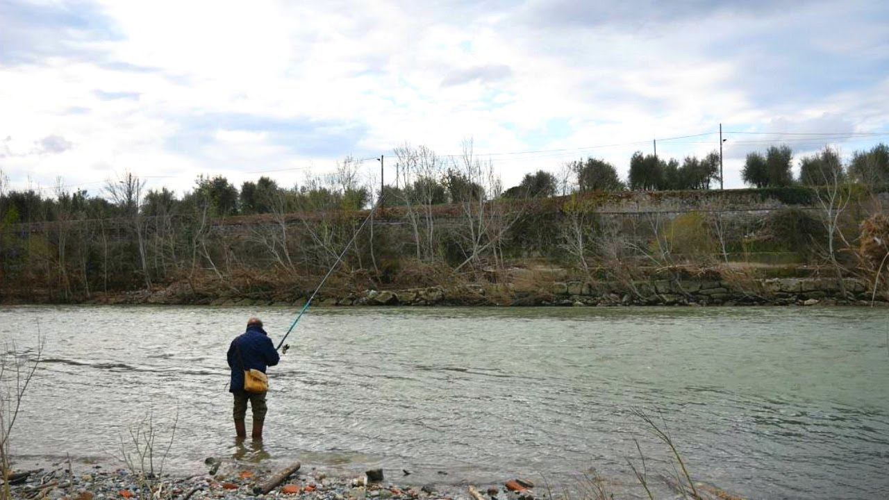 Не упусти момент! Когда начинается осенний жор у щуки и она ловится на все подряд? Осенний жор щуки смотреть онлайн
