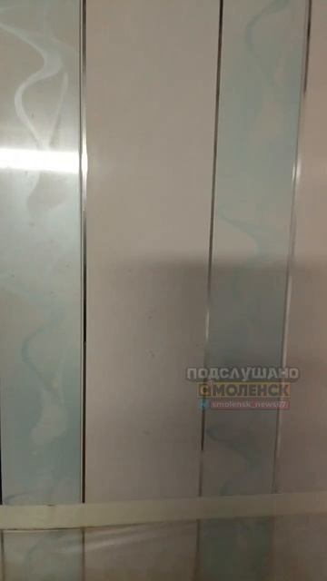 Сирота из Смоленской области продолжает жить в доме, представляющем угрозу для его жизни смотреть онлайн