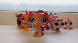 лпс летний лагерь серия 1