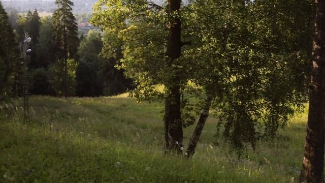 1000025946.mp4 смотреть онлайн