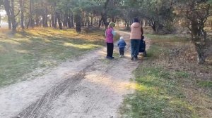 Качели. Гуляем в лесу .Ноябрь.