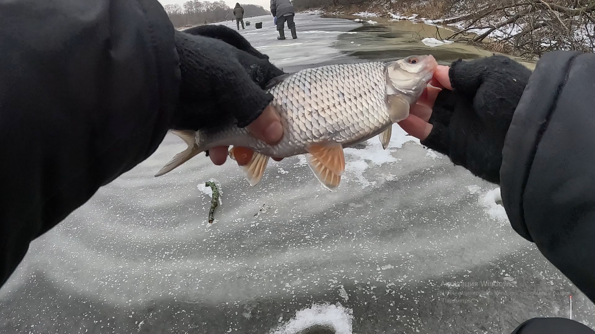 Плотва и окунь на безмотылку. Первый лед 2025-26 смотреть онлайн