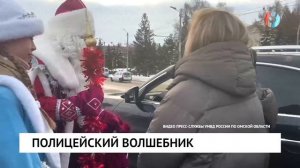 Полицейский волшебник