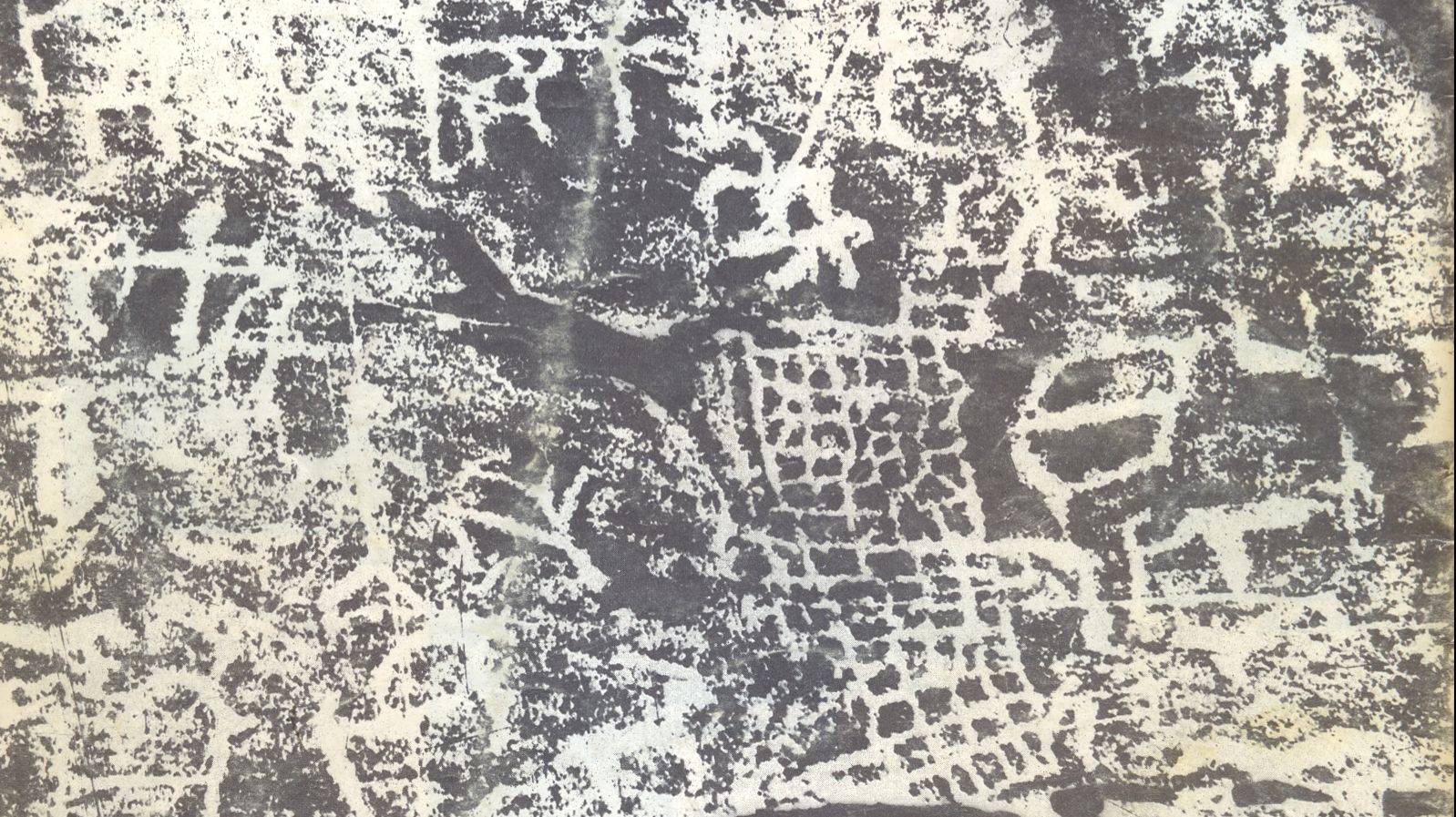 Выставка акция 