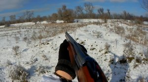 ОХОТА ПО ПЕРВОМУ СНЕГУ НА ЭКСТРИМАЛЬНОГО ЗАЙЦА 2025