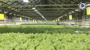 Норильские новости - 25.12.2025