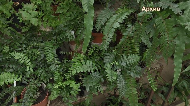 2025_12_25_Во саду и в огороде смотреть онлайн