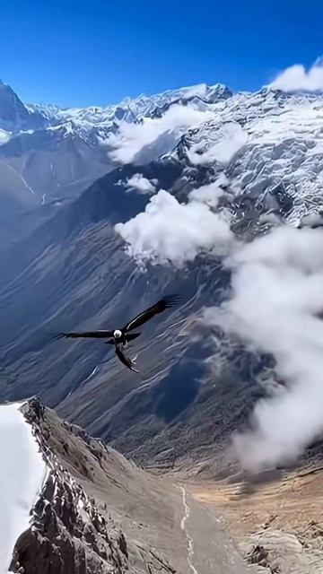 Hunter смотреть онлайн