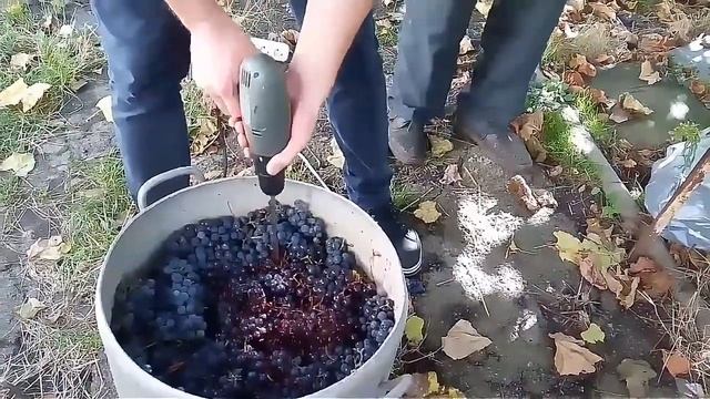 Виноград смотреть онлайн