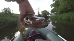 НА ЭТО МОЖНО ЛОВИТЬ ВСЁ ЛЕТО И КЛЕВАТЬ БУДЕТ РАЗНАЯ РЫБА! Рыбалка, которую ждали!