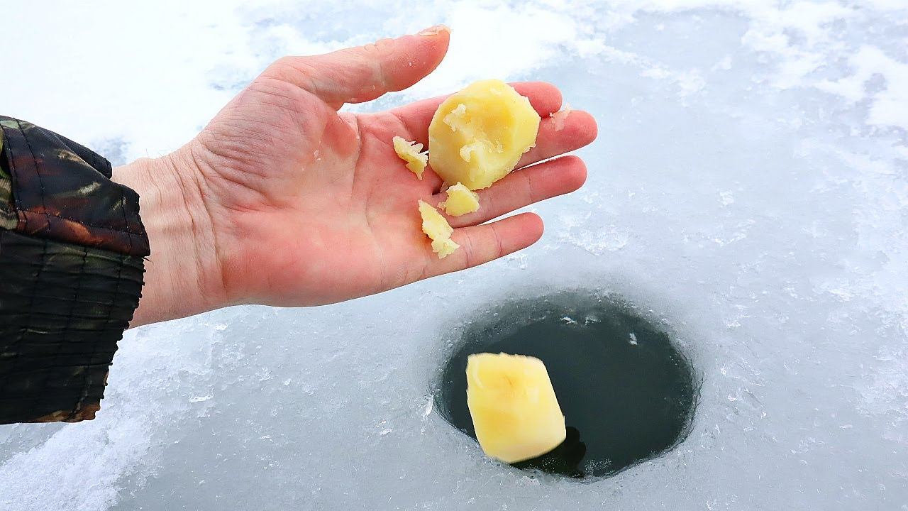 Рыба сплывается со всех берегов на это! Очень эффективная и дешевая прикормка для всей рыбы зимой. смотреть онлайн