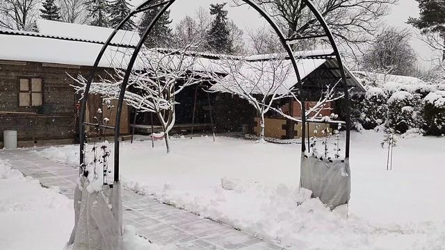 Снежный день на даче, покатушки на мотособаке смотреть онлайн